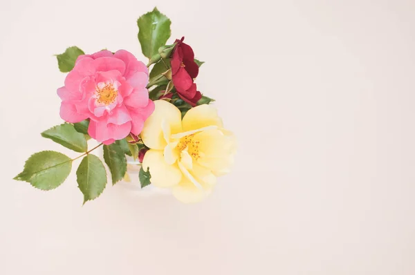 Trzy Kwiaty Różnych Kolorach Przezroczystej Szklanej Wazonie Białej Powierzchni — Zdjęcie stockowe