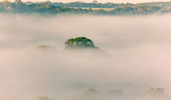 Une Belle Matinée Brumeuse Avec Épais Brouillard Sur Champ — Photo