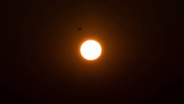 日没時の空の明るいオレンジ色の太陽 — ストック写真