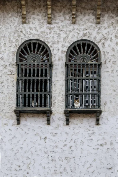 Twee Katten Kijken Uit Een Raam Van Een Koloniaal Huis — Stockfoto