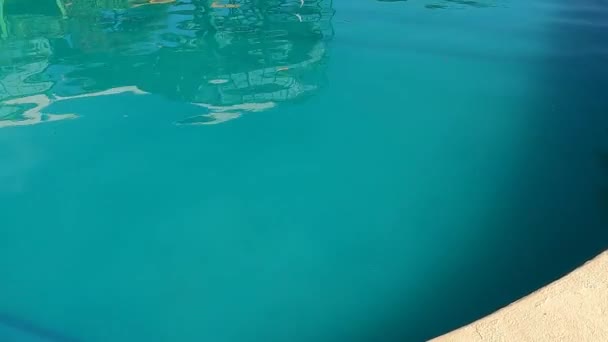 Piscinas Para Nadar Con Agua Azul Cristalina Con Piscina Infantil — Vídeos de Stock