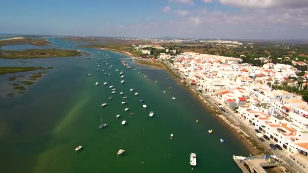 Une Vue Aérienne Magnifique Bord Mer Avec Des Maisons Sur — Video