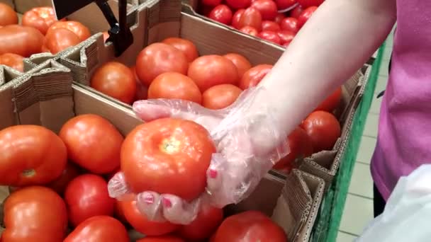 Eine Frau Wählt Und Kauft Tomaten Supermarkt Und Steckt Sie — Stockvideo