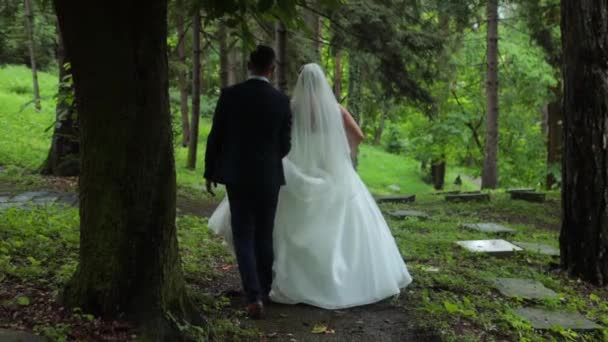 Uma Vista Traseira Recém Casados Caminhando Floresta — Vídeo de Stock