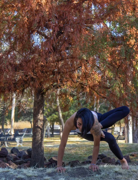 Plano Vertical Una Morena Hispana Practicando Yoga Por Mañana Parque —  Fotos de Stock