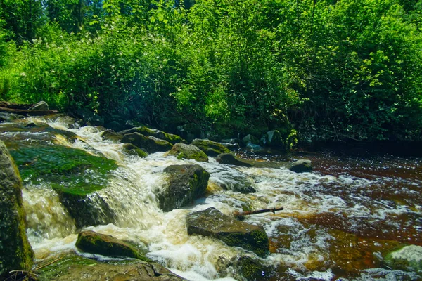 Piękny Widok Wodę Płynącą Kamieniach Roślinach Wodospadu Austrii — Zdjęcie stockowe