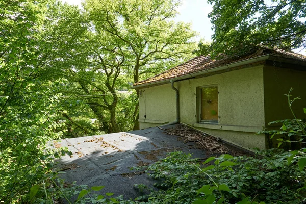 Een Oud Verlaten Verwaarloosd Huis Het Bos — Stockfoto