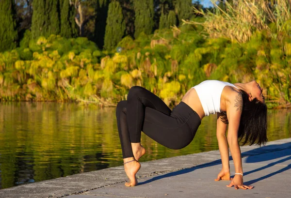 Primer Plano Una Morena Hispana Practicando Yoga Por Mañana Parque —  Fotos de Stock