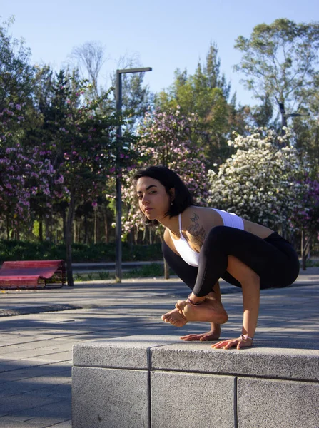 Plano Vertical Una Morena Hispana Practicando Yoga Por Mañana Parque —  Fotos de Stock