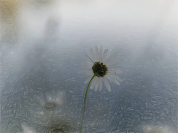 Gri Arkaplanda Beyaz Bir Çiçeğin Yakın Çekimi — Stok fotoğraf