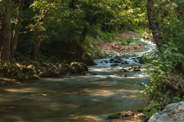 Egy Gyönyörű Víz Oázis Tiszta Víz Patakok Sziklák Rejtett Erdőben — Stock Fotó