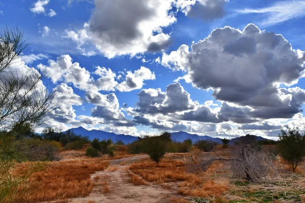 Грозовые Облака Голубое Небо Создают Зрелищное Шоу Контраст Засушливой Пустыней — стоковое фото