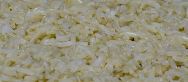 Detailní Záběr Vařené Hnědé Rýže — Stock fotografie