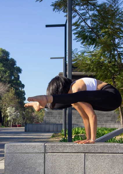 Plano Vertical Una Morena Hispana Practicando Yoga Por Mañana Parque —  Fotos de Stock