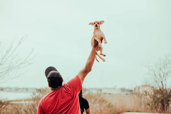 Rear View Man Lifting His Dog Blurred Background — Stock Photo, Image
