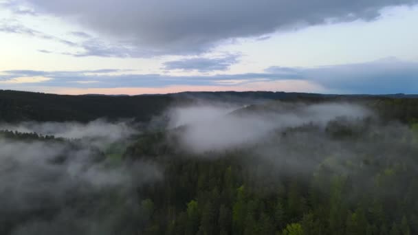 Una Vista Aérea Niebla Que Cubre Bosque Hermoso Día Nublado — Vídeos de Stock