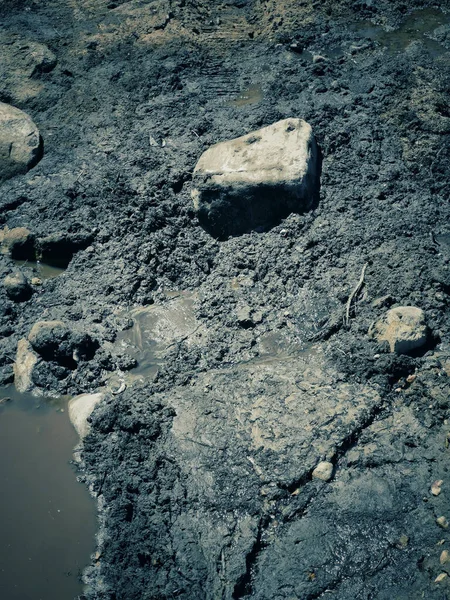 泥だらけの地面の閉鎖ショット — ストック写真