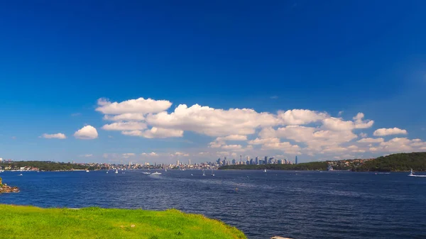 Plan Angle Élevé Sydney City Skyline Près Watsons Bay Hornby — Photo