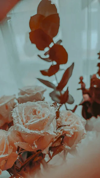 Gros Plan Beau Bouquet Roses Blanches Avec Des Gouttes Eau — Photo