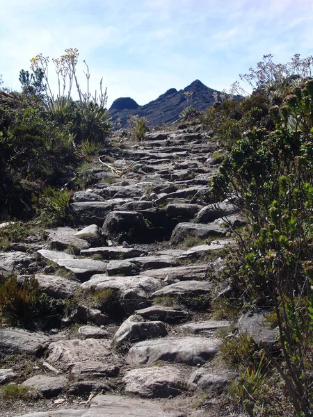 Pionowe Ujęcie Kamiennych Schodów Ścieżce Wspinaczkowej Góry Roraima Wenezueli — Zdjęcie stockowe
