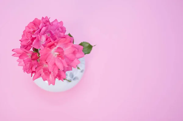 Bellissimi Gerani Rosa Fiori Vaso Una Superficie Rosa — Foto Stock