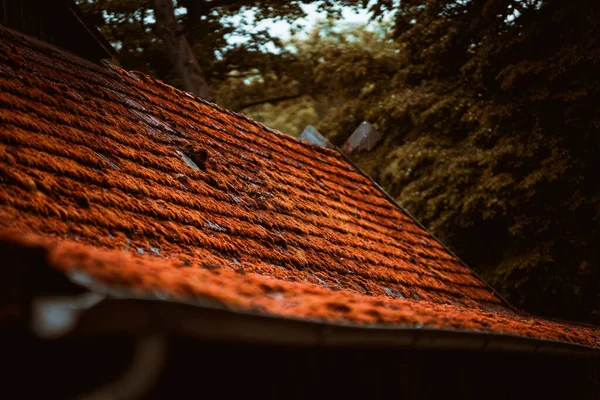 Pionowe Ujęcie Obskurnego Zardzewiałego Dachu Domu Otoczonego Drzewami — Zdjęcie stockowe