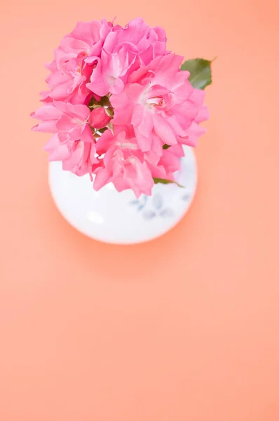 オレンジ色の表面に花瓶に美しいピンクのゼラニウムの花 — ストック写真