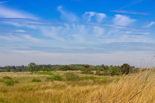 Ein Malerischer Blick Auf Ein Getrocknetes Landwirtschaftliches Feld Unter Einem — Stockfoto