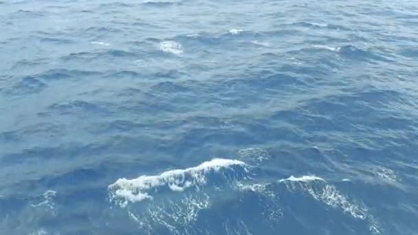 日光下蓝色波浪形海洋背景的4K片断 — 图库视频影像