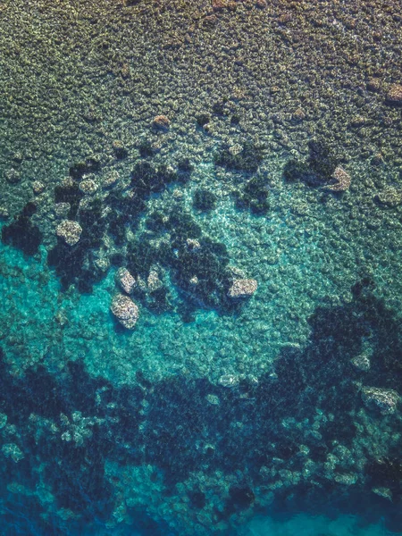 美しいサンゴ礁の垂直ショット 壁紙に最適 — ストック写真