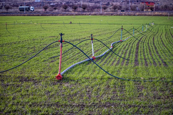现代农田智能灌溉 现代灌溉系统 — 图库照片