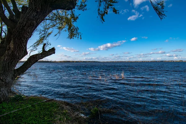 Ein Schöner Blick Auf Einen Von Bäumen Umgebenen See Unter — Stockfoto