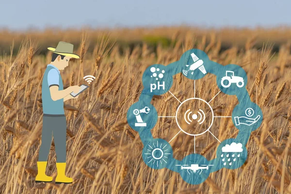 Una Ilustración Agricultor Usando Teléfono Con Aplicaciones Fondo Campo Trigo — Foto de Stock