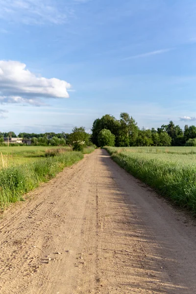 Svislý Záběr Cestu Vede Venkovská Pole — Stock fotografie