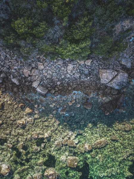 澄んだ水と岩の海岸の垂直ショット — ストック写真