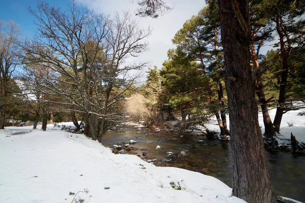 Beau Paysage Hivernal Avec Une Rivière Qui Coule Travers Les — Photo