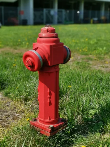 Vertikal Bild Brandpost Park — Stockfoto