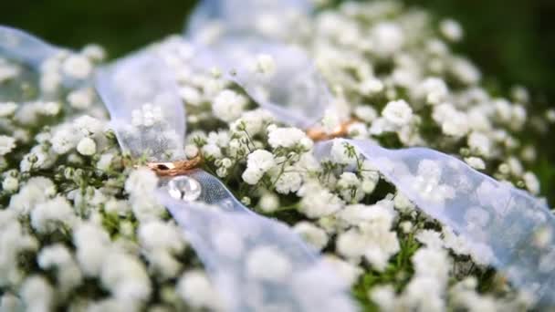 Primer Plano Anillos Boda Plata Ramo Novia — Vídeo de stock