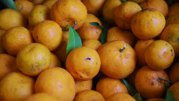 Yüksek Çözünürlüklü Taze Portakalların Yakın Plan Çekimi — Stok video