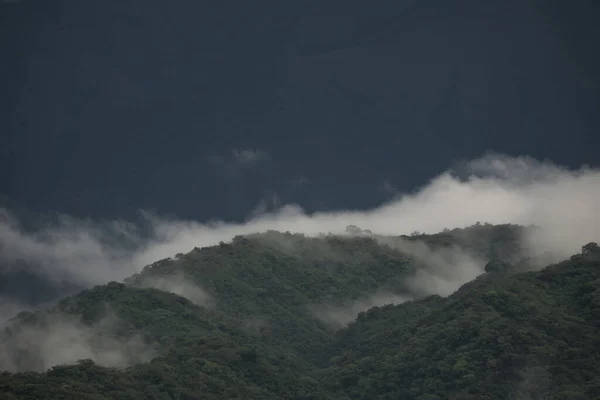 Захватывающий Вид Облачного Горного Ландшафта Леса — стоковое фото
