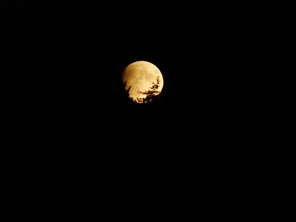 Uma Bela Vista Lua Cheia Visível Céu Escuro Noite — Fotografia de Stock