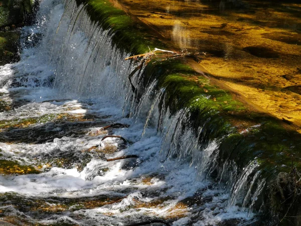 Belo Tiro Uma Cachoeira Floresta — Fotografia de Stock