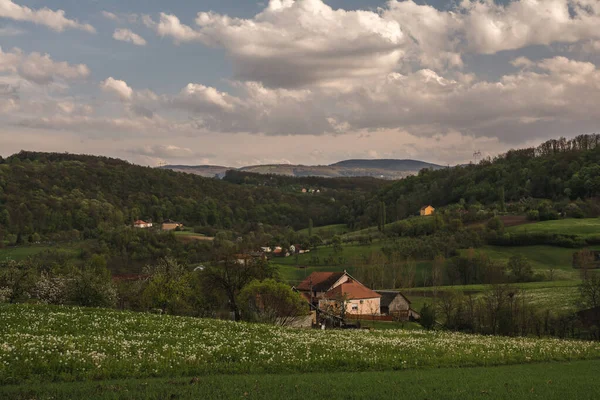 Прекрасний Вид Хатину Полі Гори Задньому Плані Похмурий День — стокове фото