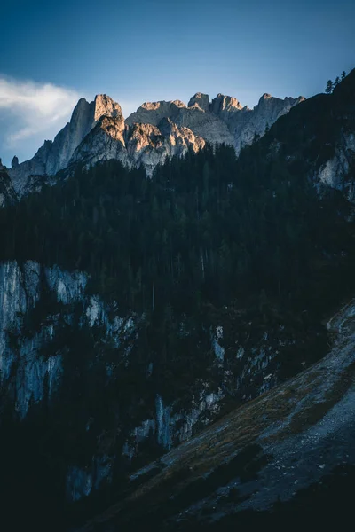 オーストリアの針葉樹で覆われたダシュタイン山の斜面の閉鎖 — ストック写真