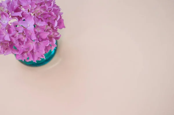 Krásné Růžové Květy Hortenzie Váze Lehkém Povrchu — Stock fotografie