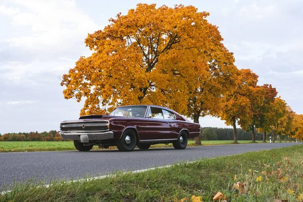 Винтажный Классический Автомобиль Дороге Осенью — стоковое фото