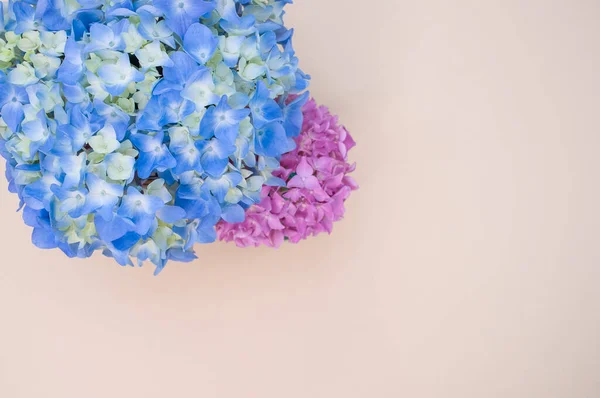 薄面に花瓶に美しい青とピンクのアジサイの花 — ストック写真