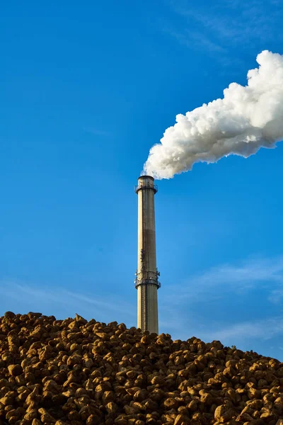 Een Verticaal Schot Van Een Industriële Schoorsteen Met Rook Onder — Stockfoto