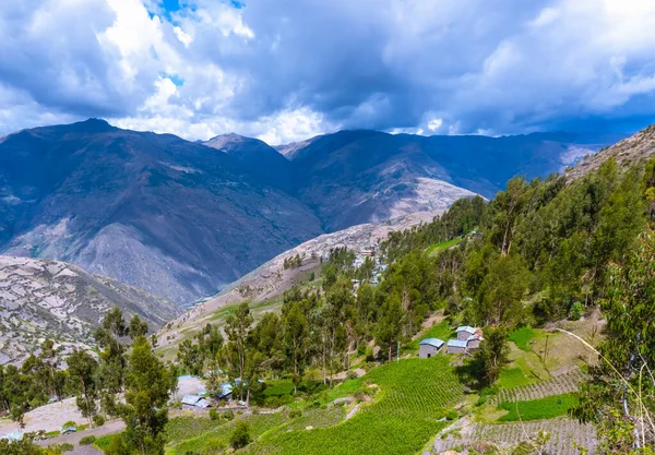 Peru Daki Mataro Nehrinin Çevresindeki Ekili Tarlaların Güzel Bir Manzarası — Stok fotoğraf