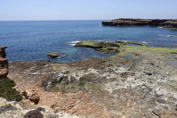 Skaliste Wybrzeże Plaży Locos Spokojnym Morzem Pod Błękitnym Niebem Torrevieja — Zdjęcie stockowe